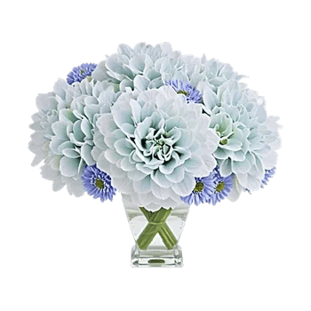 Sapphire Bloom Whisper