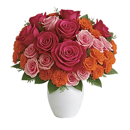 Radiant Rose Symphony