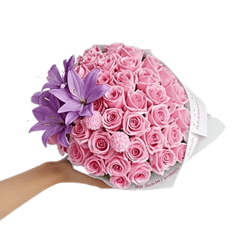 Blushing Rose Symphony