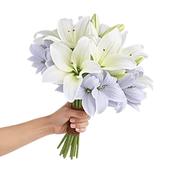 Graceful Lily Display