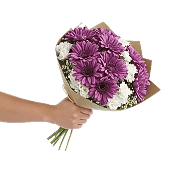 Petal Softness Display