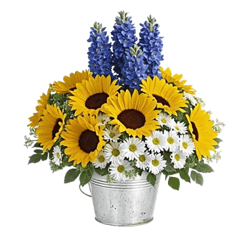 Blossom Petal Serenity