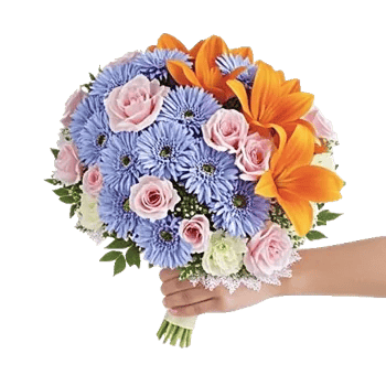 Blushing Rose Symphony