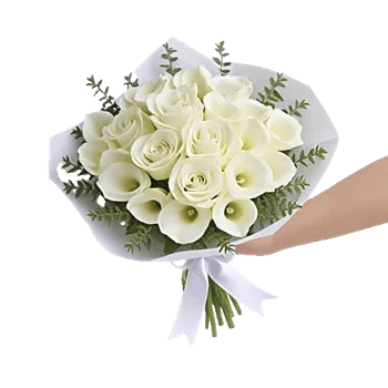 Ivory Garden Grace