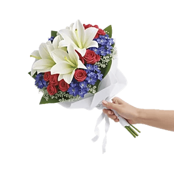 Blossom Petal Serenity