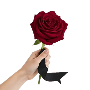 Crimson Rose Elegance