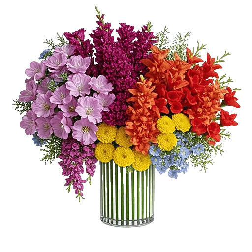 Petal Radiance Bliss