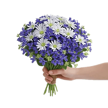 Blossom Petal Serenity