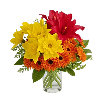 Petal Radiance Bliss