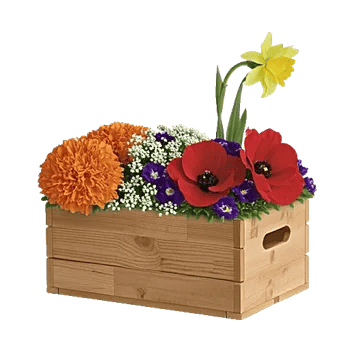 Vibrant Orange Delight