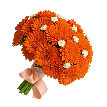 Vibrant Orange Delight