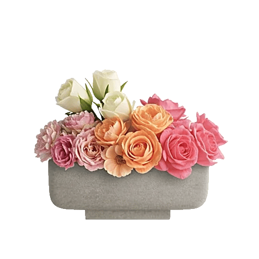 Ivory Blossom Radiance