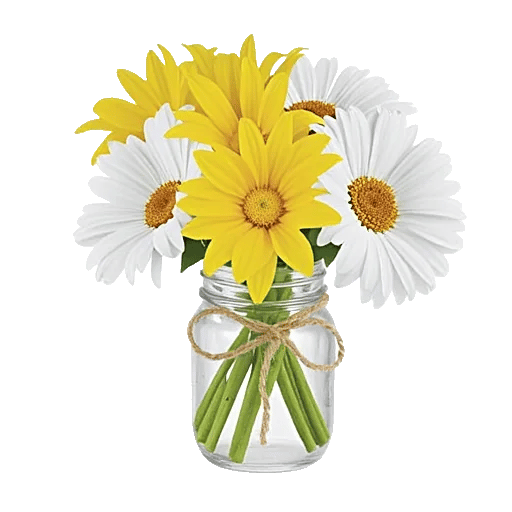 Petal Radiance Bliss