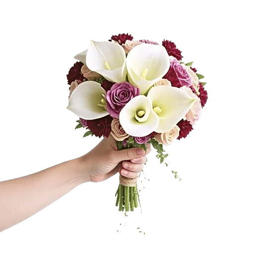 Elegant Calla Lilies