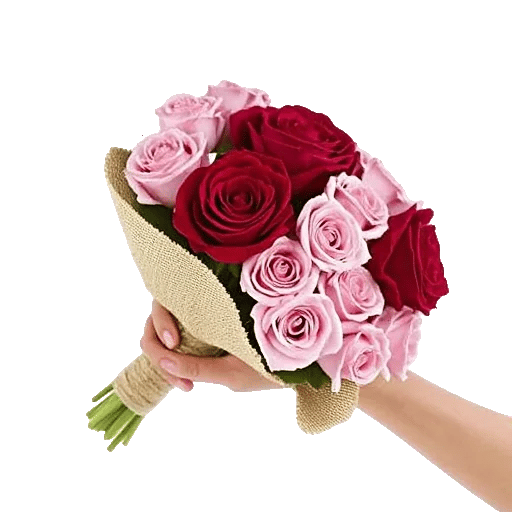 Crimson Rose Elegance