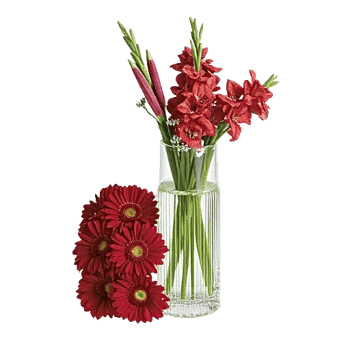 Ruby Petal Cascade
