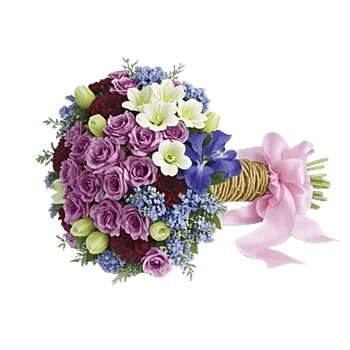 Blossom Petal Serenity