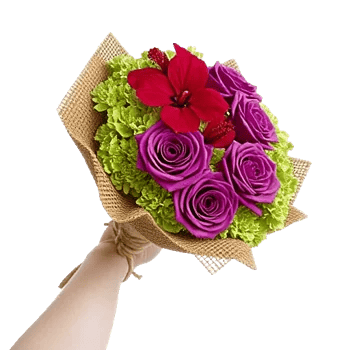 Crimson Rose Elegance