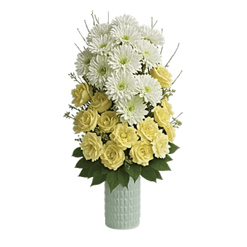 Ivory Blossom Radiance