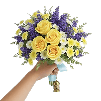 Blossom Petal Serenity