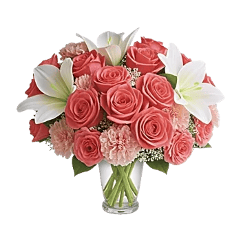 Coral Blossom Harmony