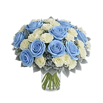 Elegant Blue Roses