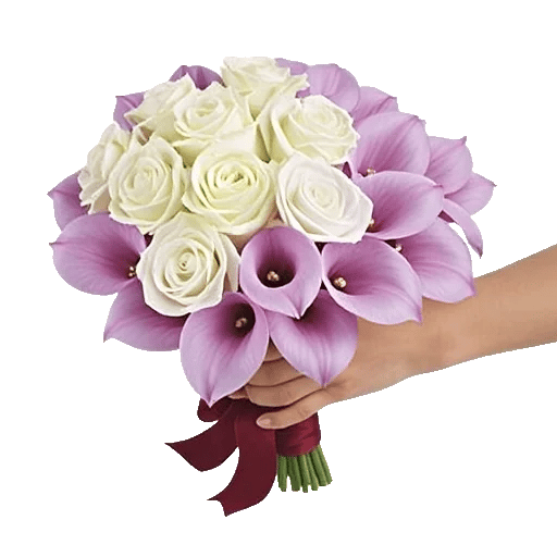 Elegant Calla Lilies