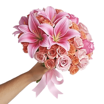 Blushing Rose Symphony