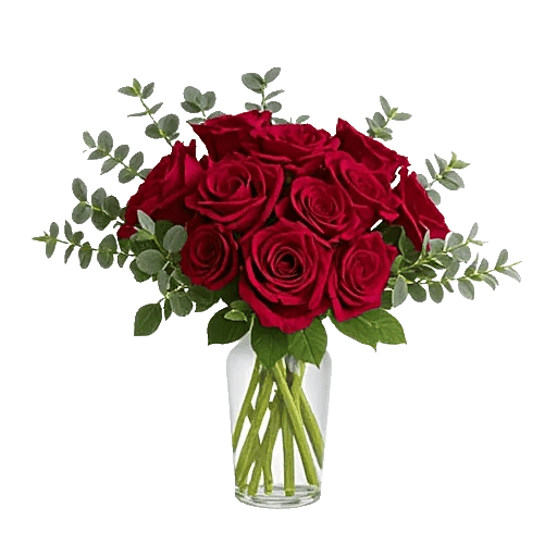 Crimson Blossom Harmony