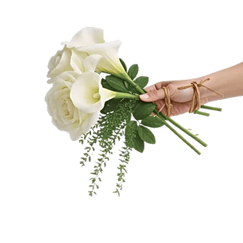 Ivory Garden Grace