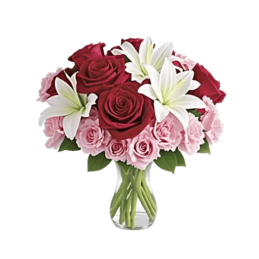 Crimson Rose Elegance