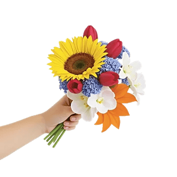 Twinkling Sunflower Dance