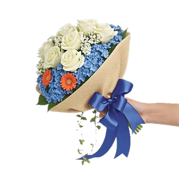 Serene Petal Harmony