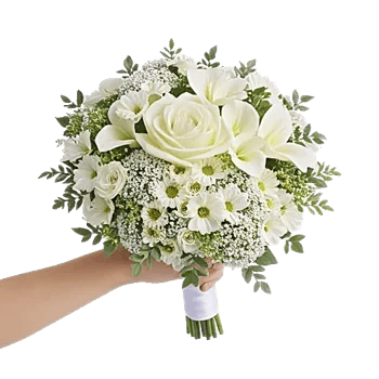 Ivory Garden Grace