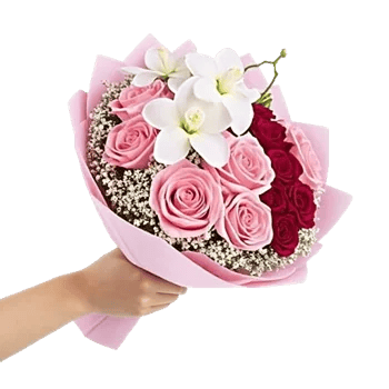 Blushing Rose Symphony