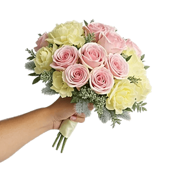 Peony Petal Harmony