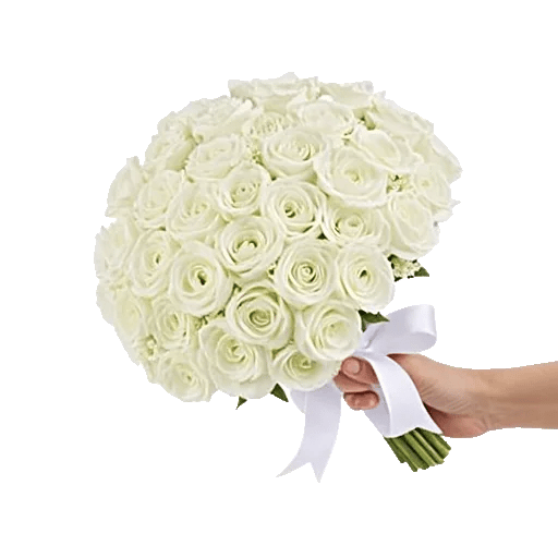 Delicate Petal Cascade