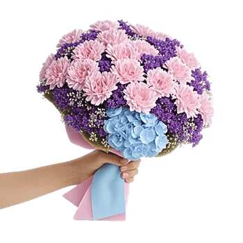 Pastel Pink Roses
