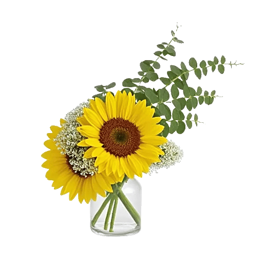 Radiant Bloom Cascade