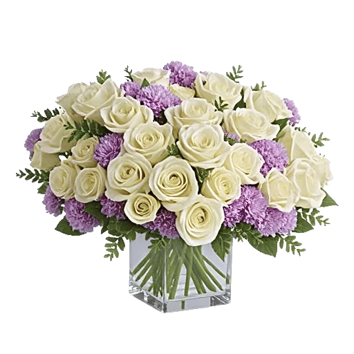 Ivory Blossom Radiance