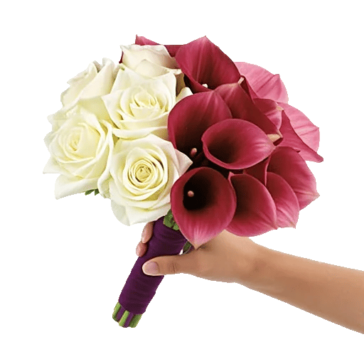 Elegant Calla Lilies