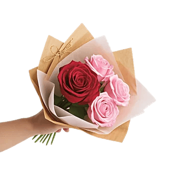 Crimson Rose Elegance