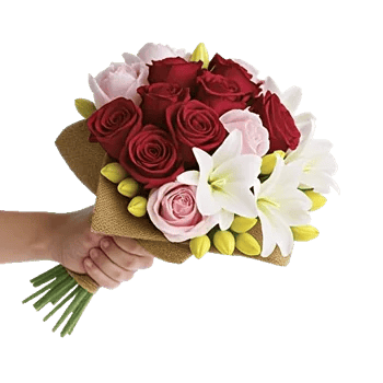 Crimson Rose Elegance