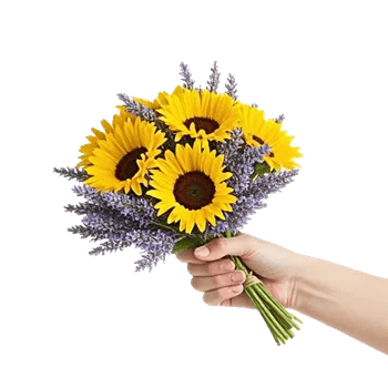 Twinkling Sunflower Dance