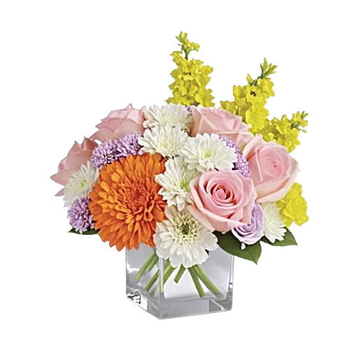 Petal Harmony Bliss