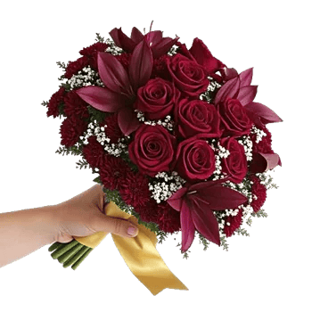 Crimson Rose Elegance
