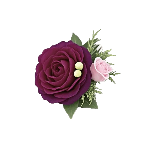 Delicate Petal Cascade