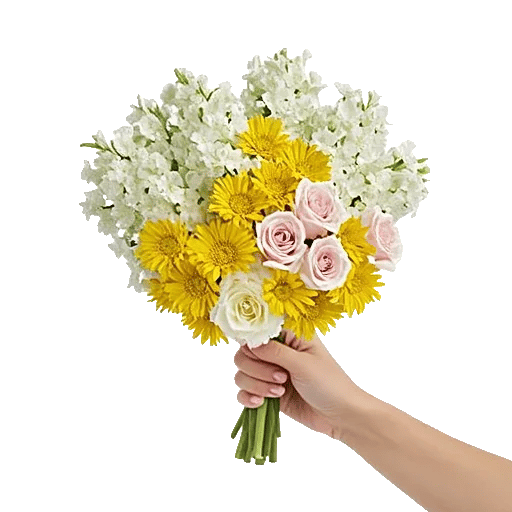 Blossom Harmony Display