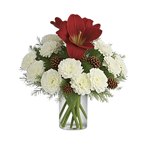 Crimson Blossom Harmony