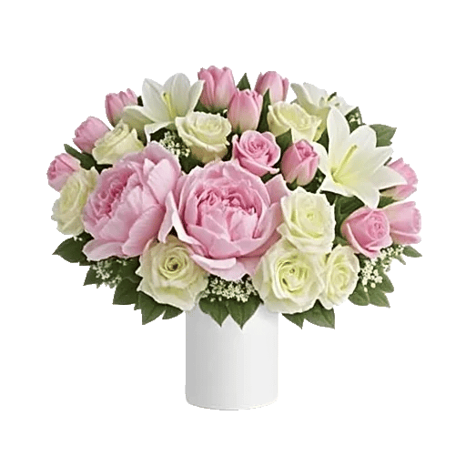 Ivory Blossom Radiance